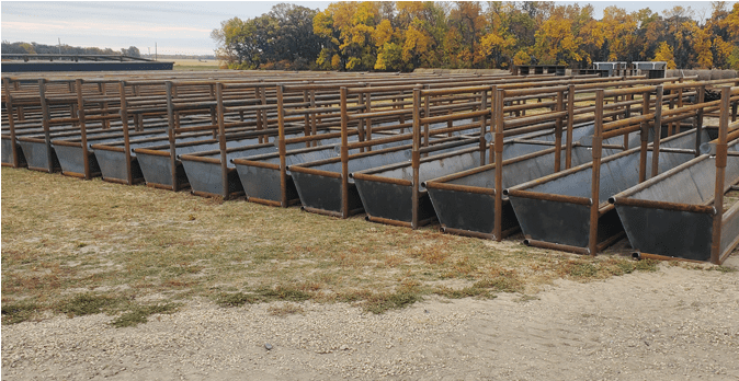 A large group of cattle pens in the middle of an open field.
