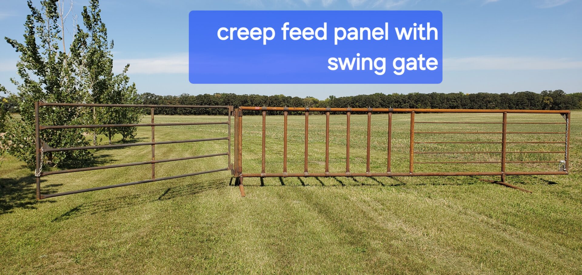 A fence that has been cut to make it look like a swing gate.